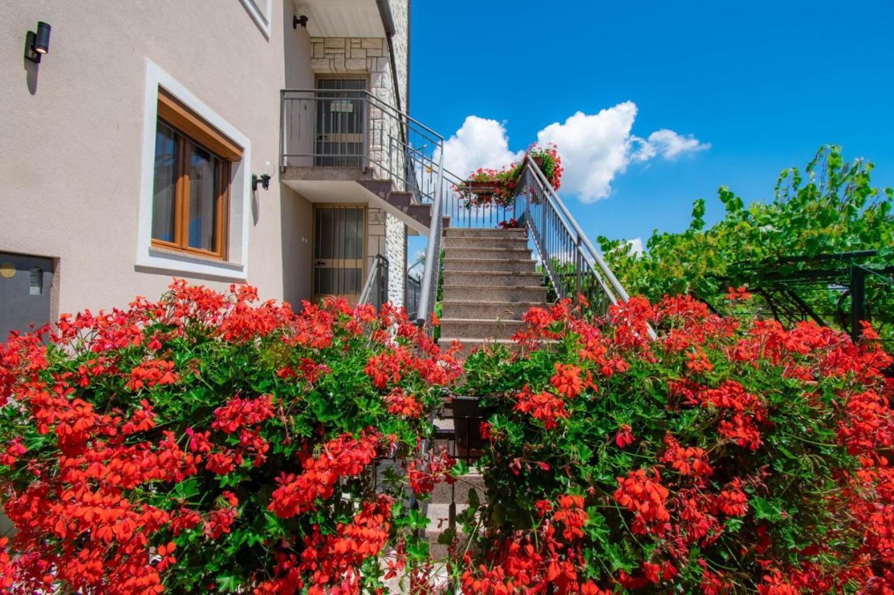 Apartments Kristina ロヴィニ エクステリア 写真